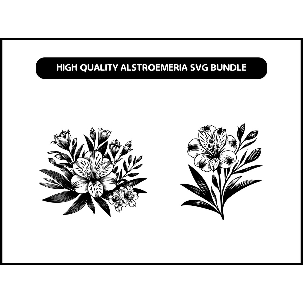 High Quality Alstroemeria SVG 2
