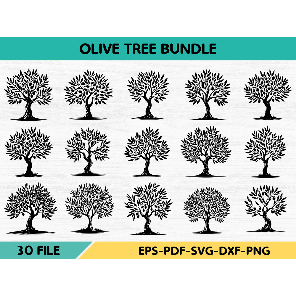 Olive Tree Bundle 0