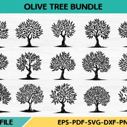 olive tree bundle
