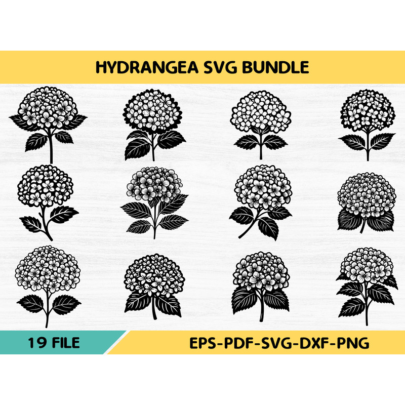 Hydrangea Svg 0