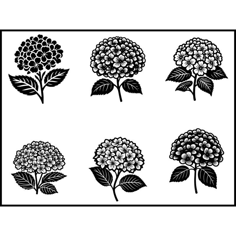Hydrangea Svg 1