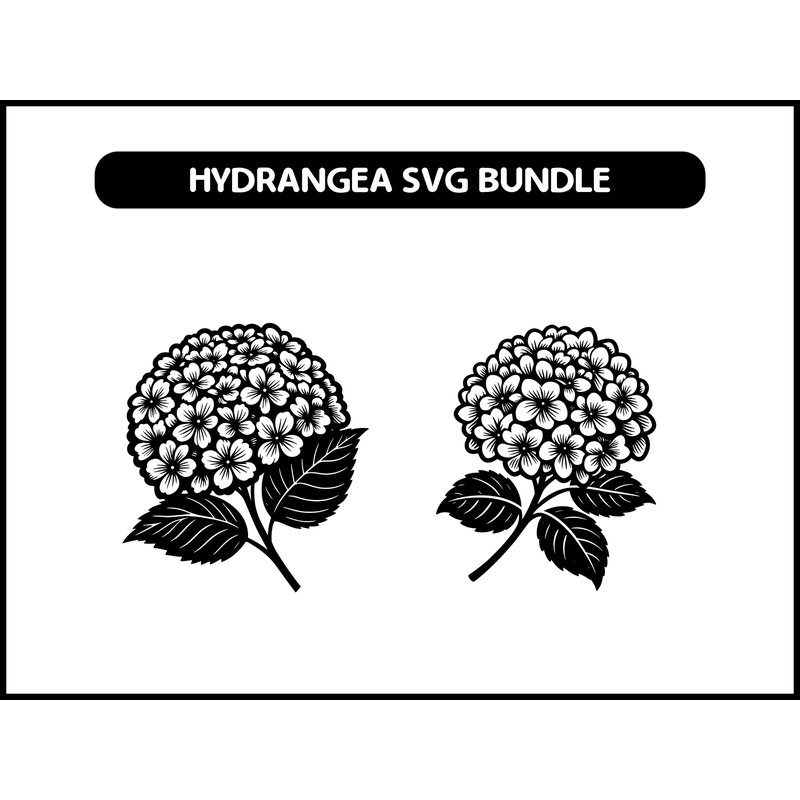 Hydrangea Svg 2