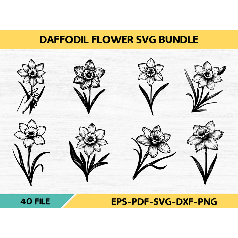 Daffodil Flower Svg Bundle 0