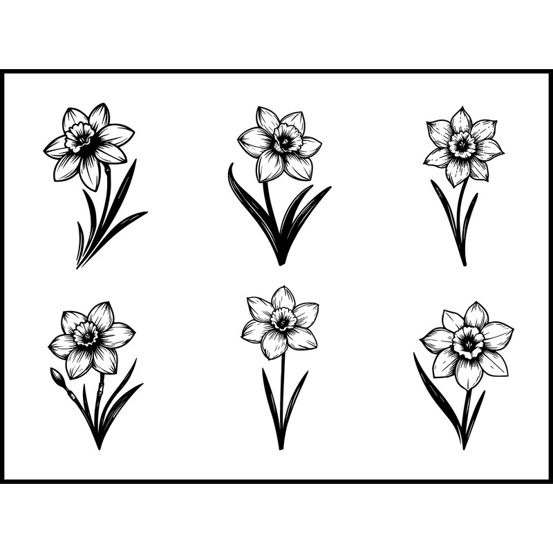 Daffodil Flower Svg Bundle 1