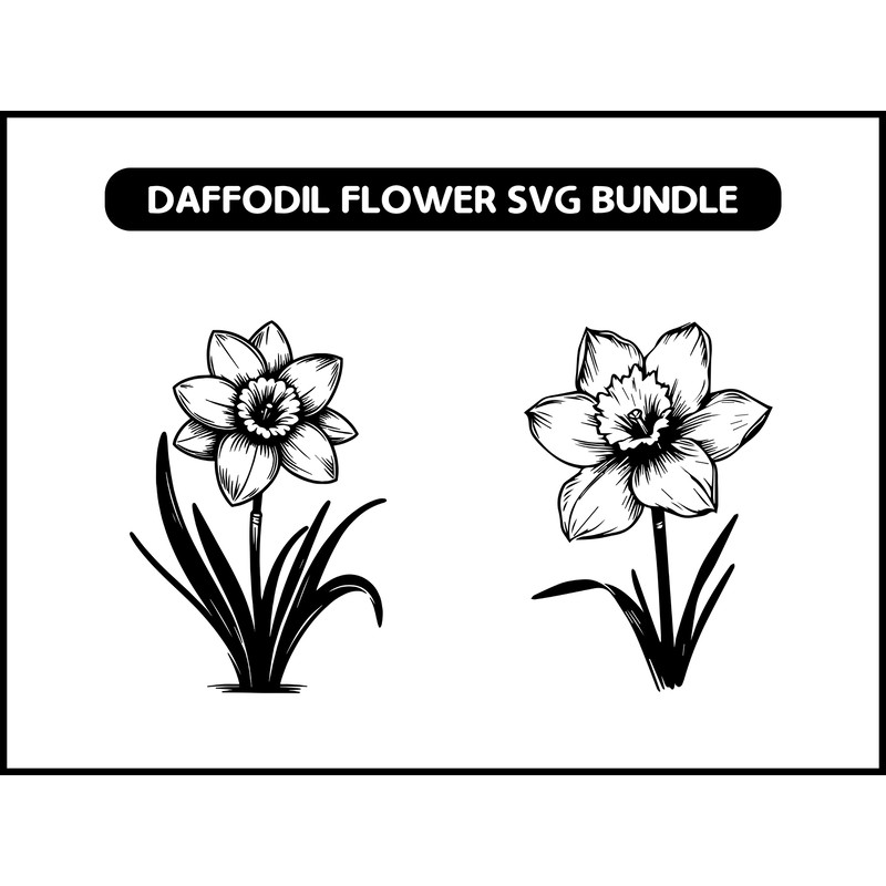 Daffodil Flower Svg Bundle 2