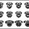 Pug With Aviator Sunglasses SVG Bundle 1