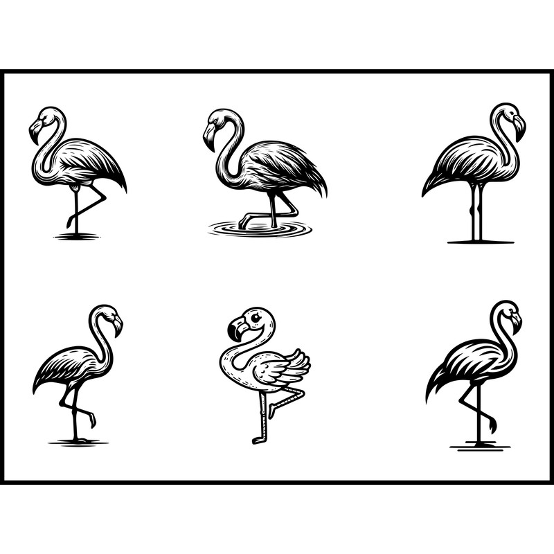 Flamingo SVG Bundle 1