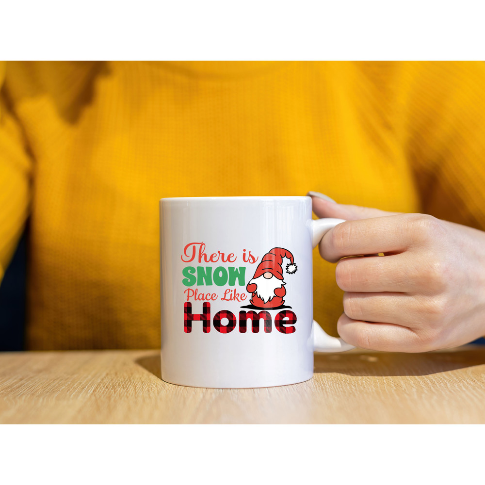 There S Snow Place Like Home 1