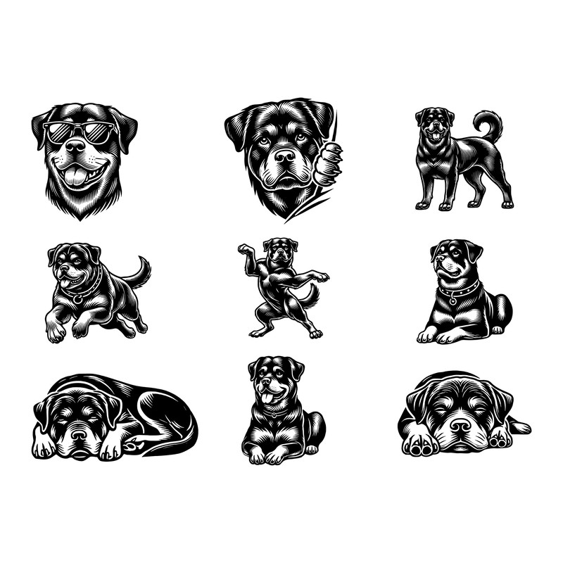 Rottweiler Svg Bundle 0