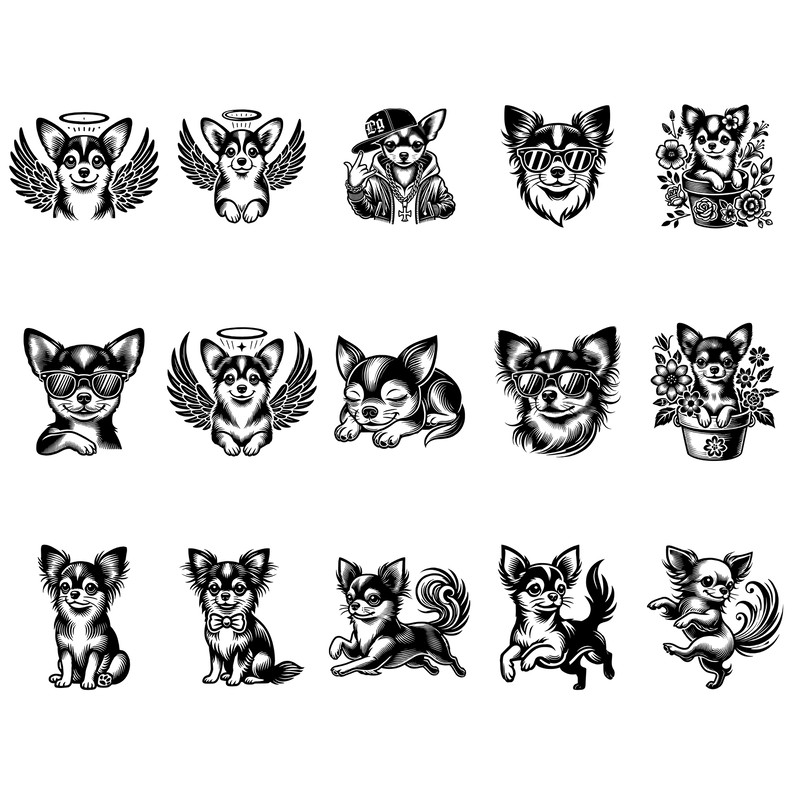 ChihuahuaIn Bundle 1