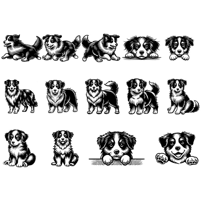 Miniature American Shepherd Svg Bundle 0