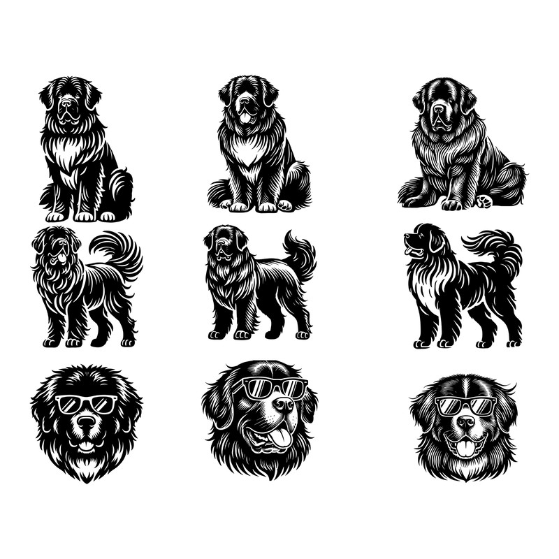 Newfoundland Svg Bundle 0