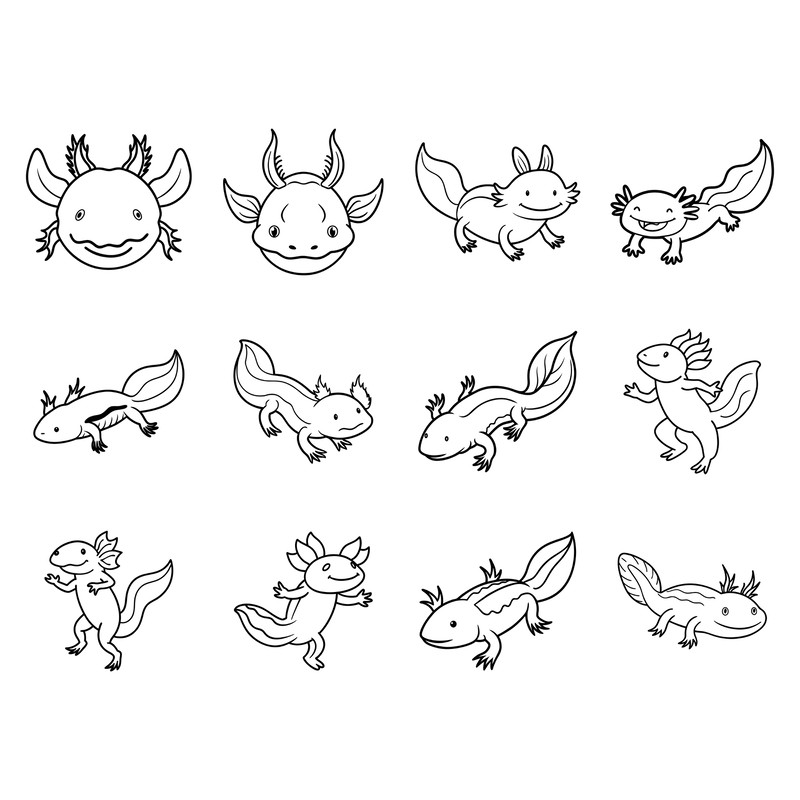 Axolotl Svg Bundle 0