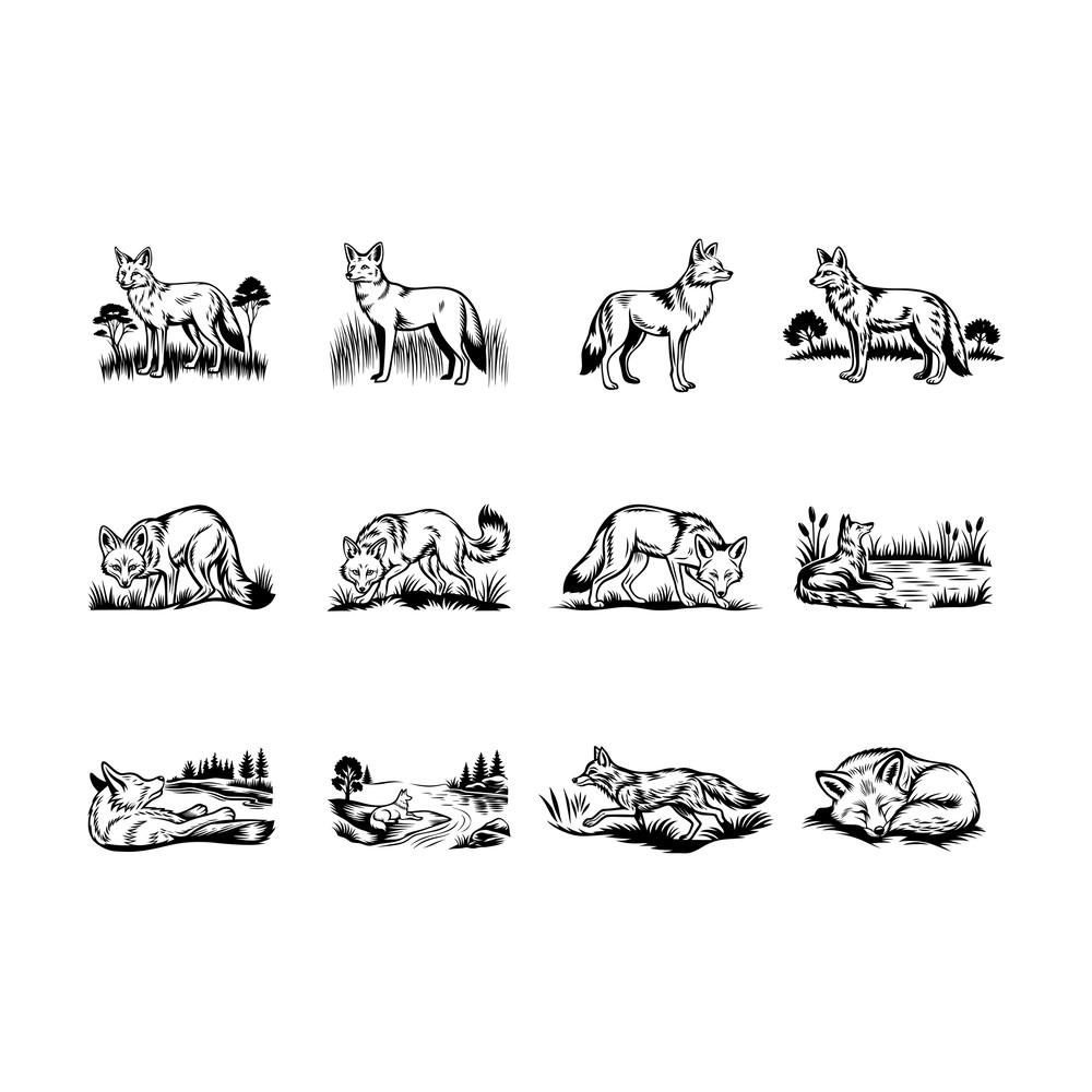 Coyote Svg Bundle 0
