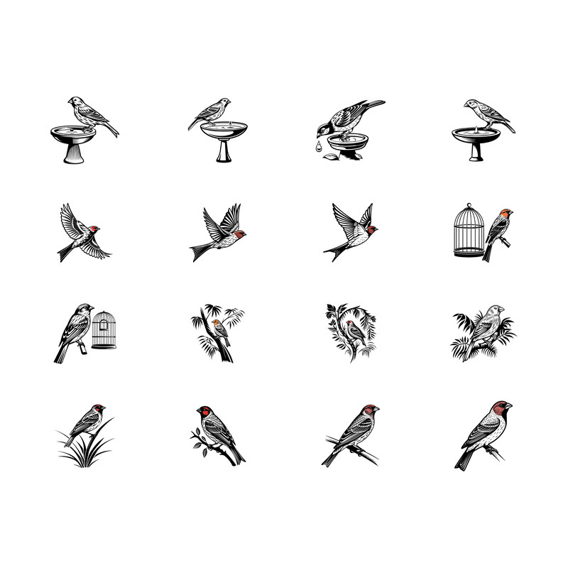 House Finch Bird Svg Bundle 1