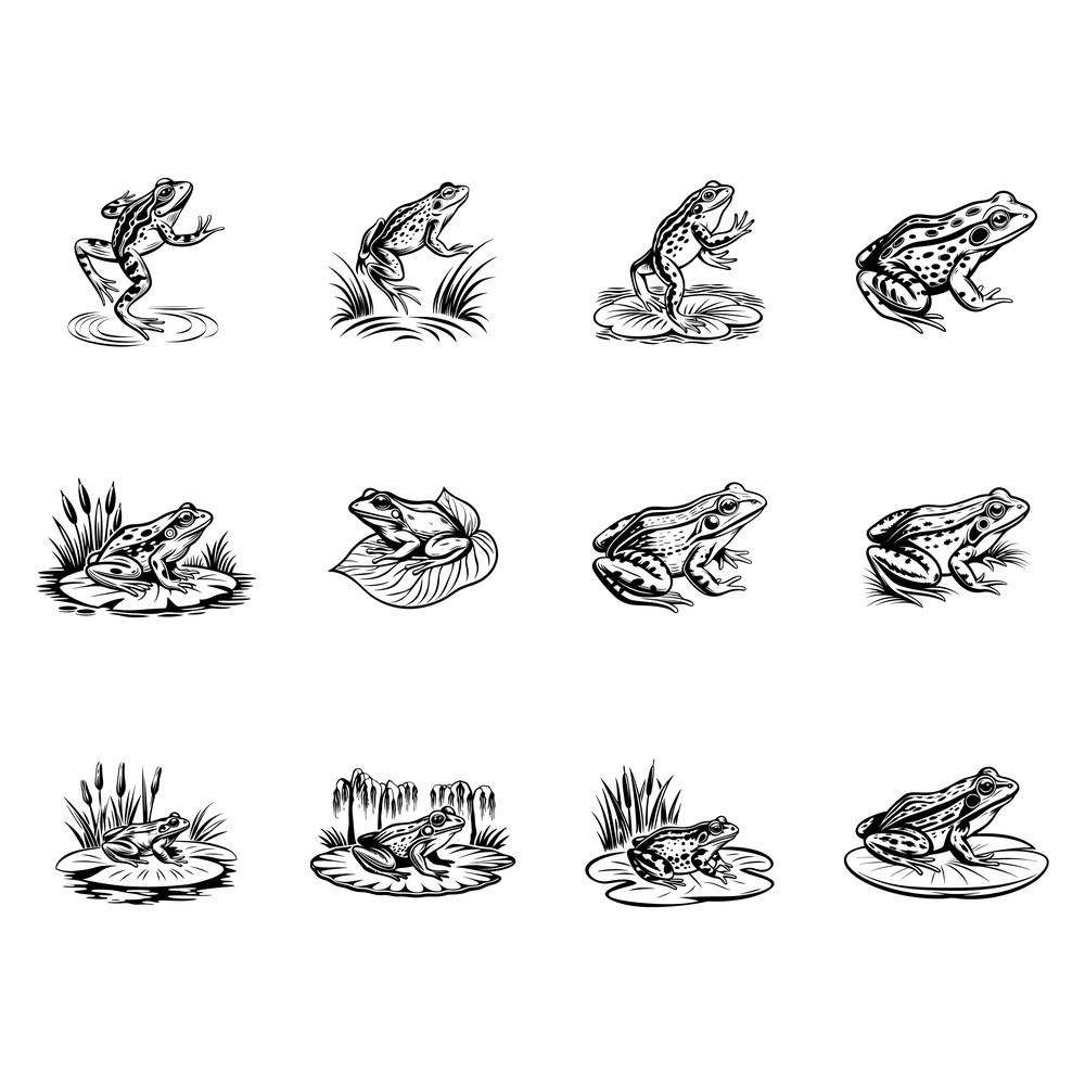 Lithobates Clamitans Svg Bundle 1