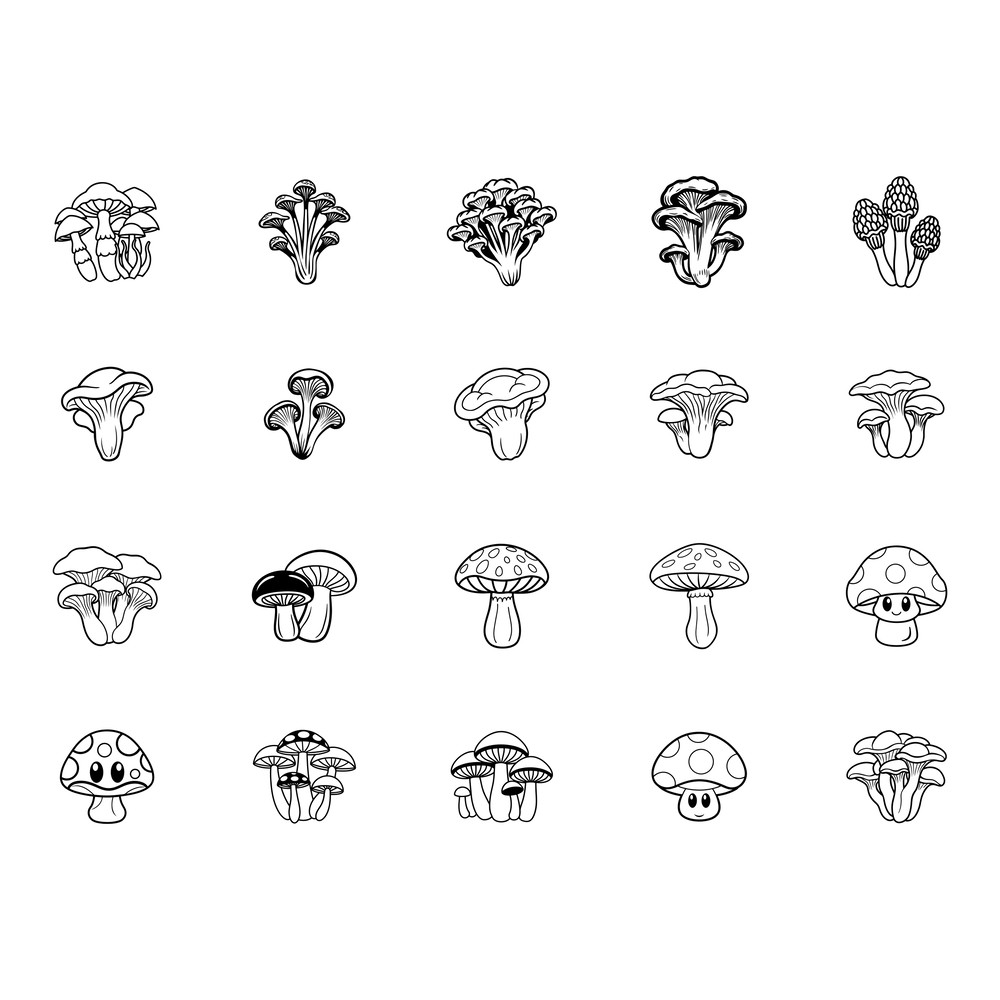 Mushroom 1