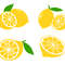 Lemon SVG Bundle 1
