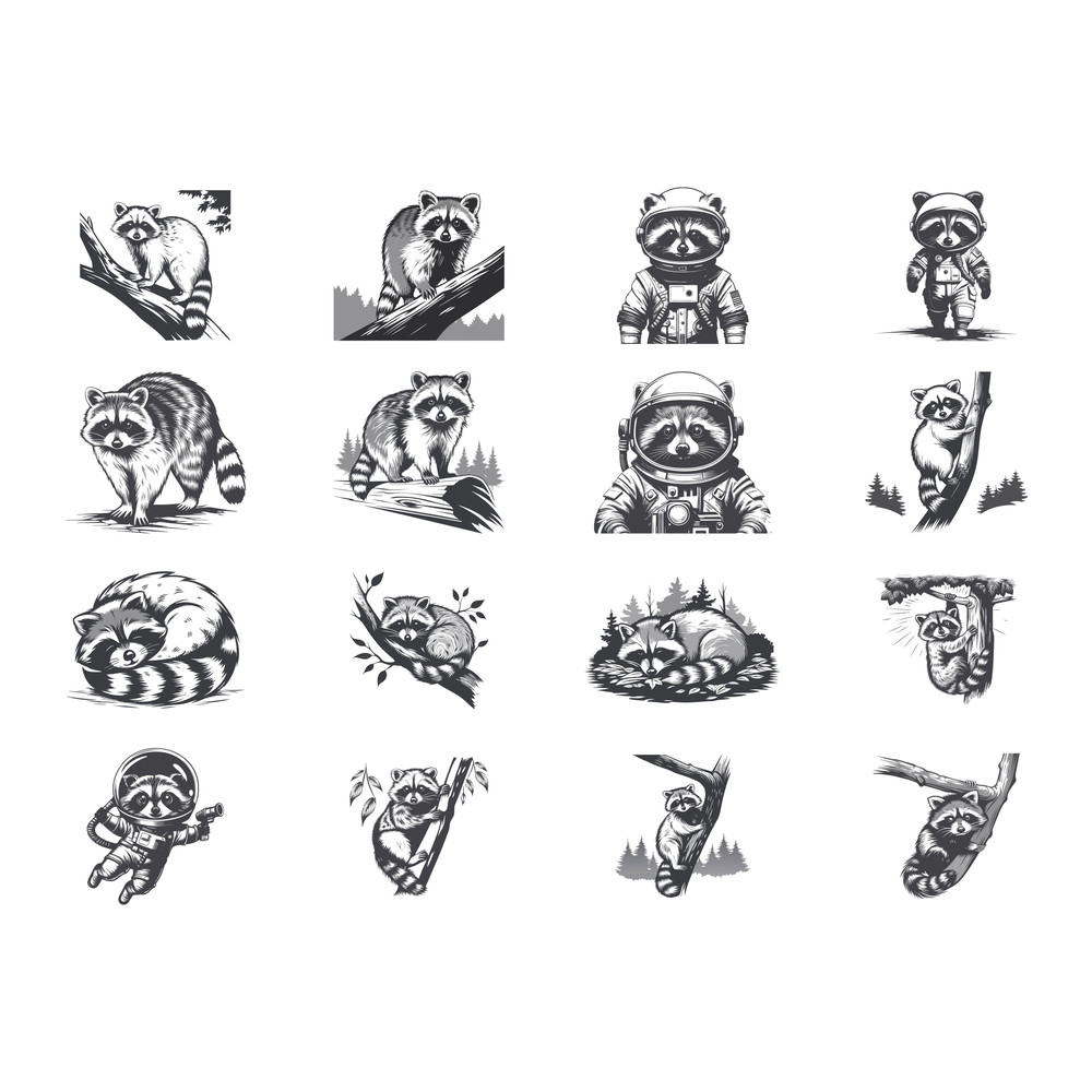 Racoon Svg Bundle 1