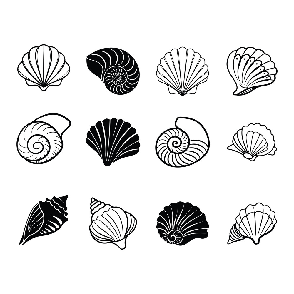 Sea Shell SVG Bundle 0