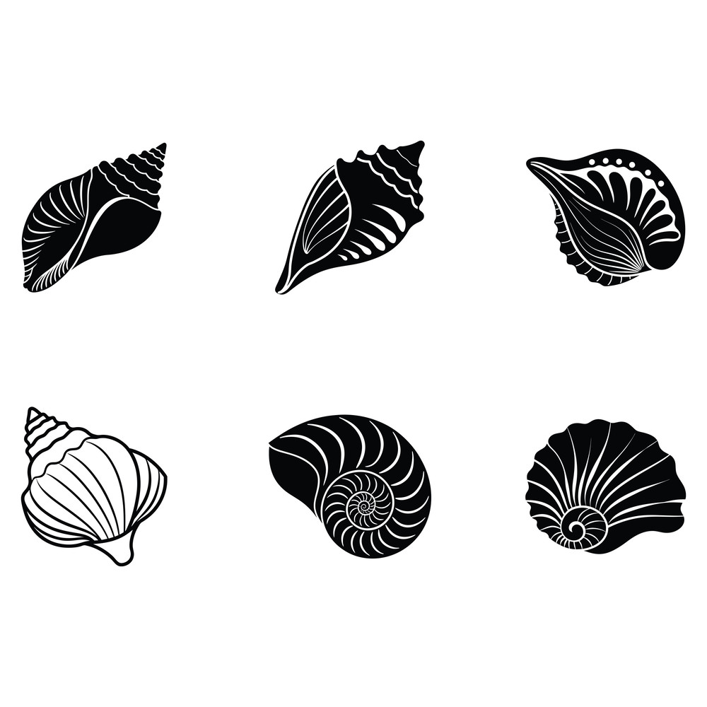 Sea Shell SVG Bundle 1