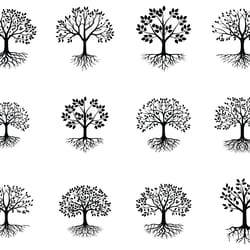 tree with roots bundle