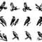 Crow Svg Bundle 0
