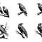 Crow Svg Bundle 1