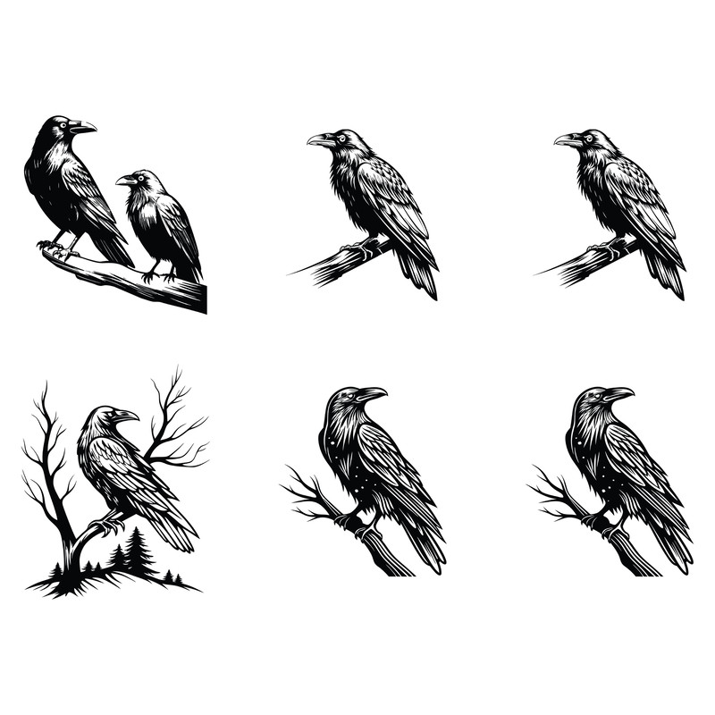 Crow Svg Bundle 1