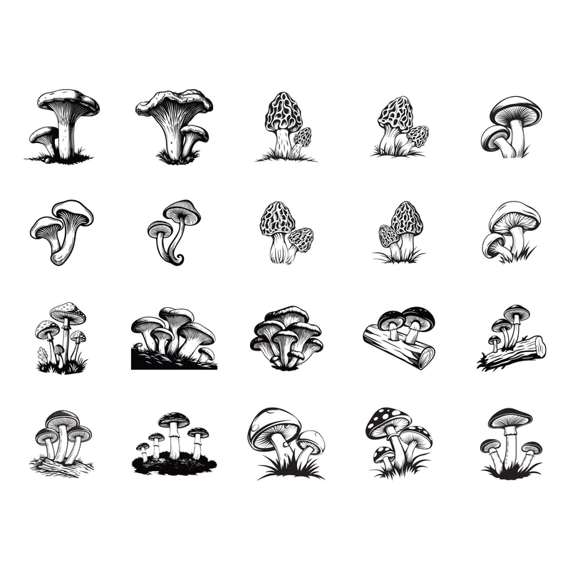 Mushroom Design 0