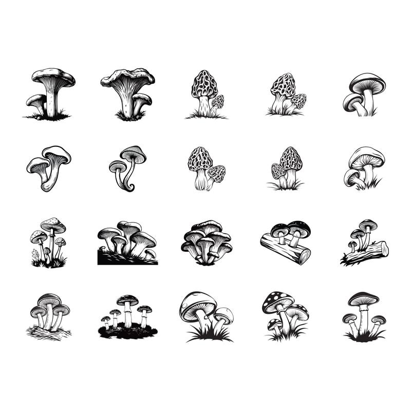Mushroom Design 1