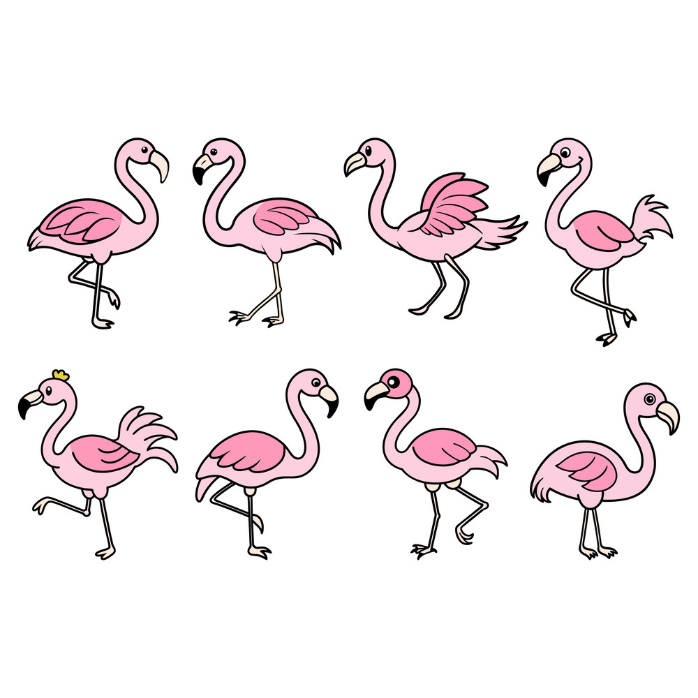 Cute Flamingo Bundle 0