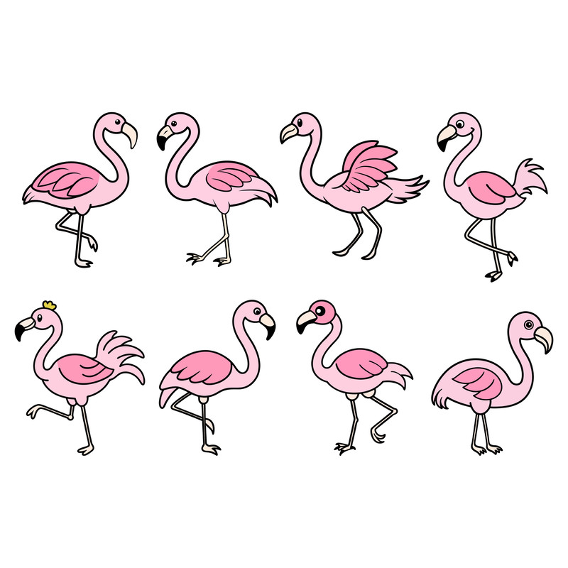 Cute Flamingo Bundle 0