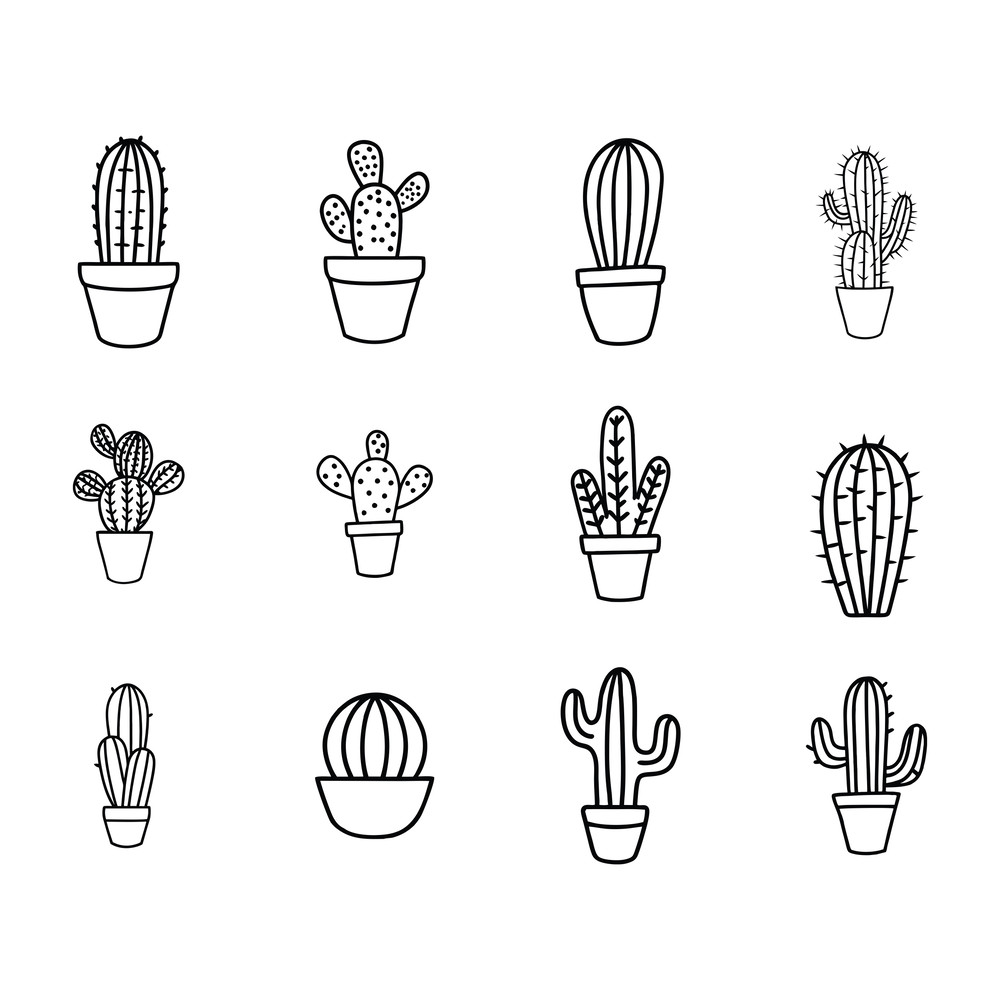 Cactus Svg 0