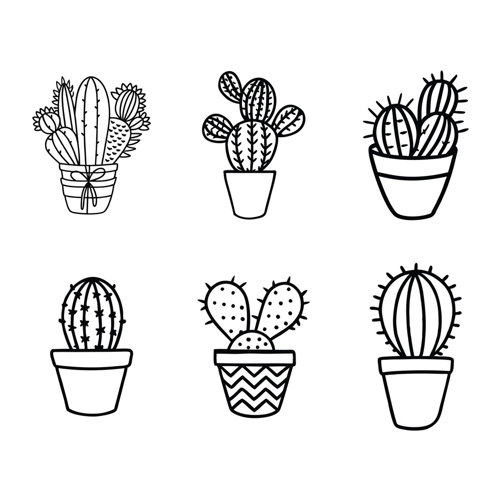 Cactus Svg 1