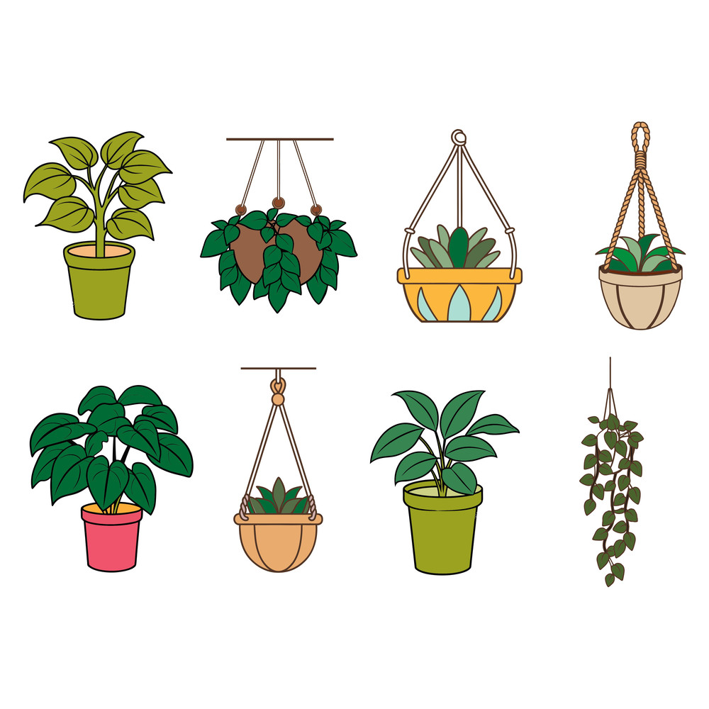 Hanging Plants Svg Bundle 0