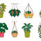 Hanging Plants Svg Bundle 0