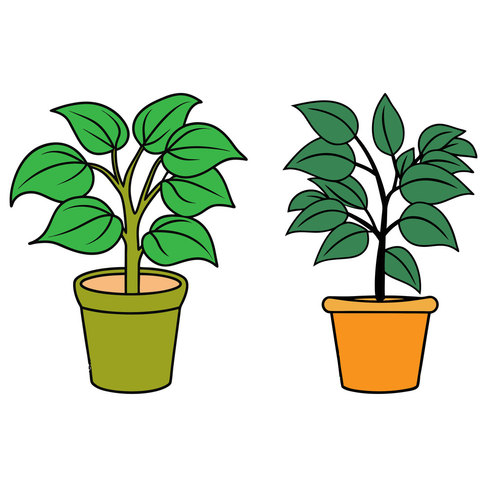 Hanging Plants Svg Bundle 1