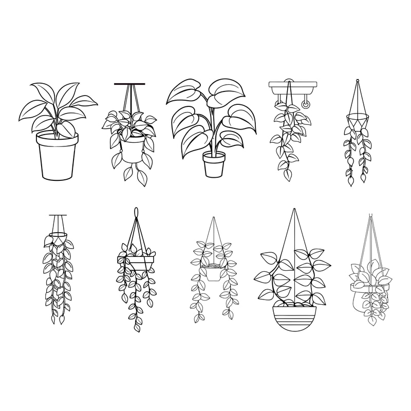 Hanging Plants Svg 0