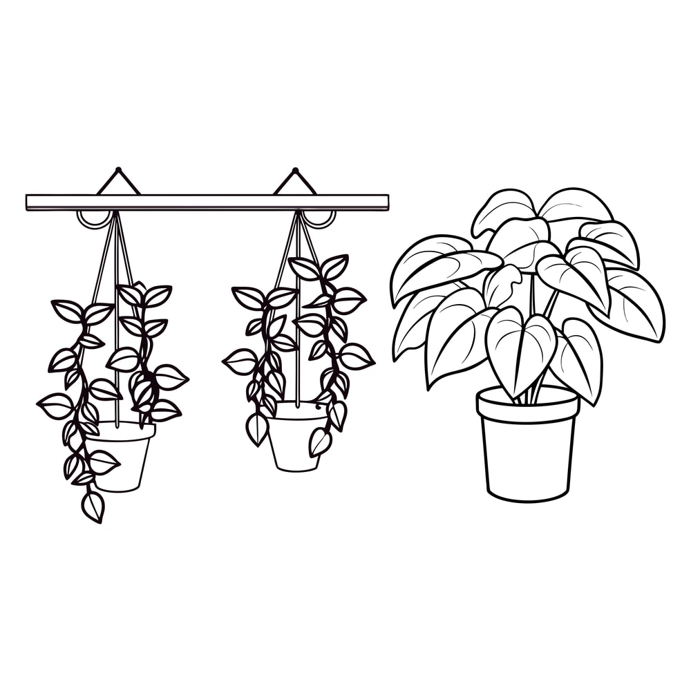 Hanging Plants Svg 1