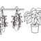 Hanging Plants Svg 1