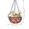 European Creative Coconut Brown Round Iron Chain Hanging Basket for Fleshy Green Plants, Chlorophytum Comosum