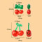 10Pcs 2 Styles Transparent Acrylic Red Cherry Pendants for Women, DIY Jewelry Making Accessories for Bracelet & Necklace