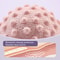 TPE Fascia Massage Ball Yoga Ball Muscle Soothing Roller, Shoulder Neck Waist Leg Massager, Fitness Relaxation Tool