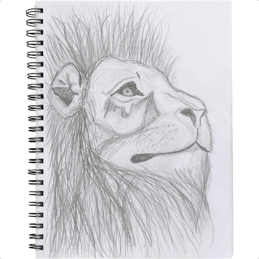 Heavyweight Sketch Book, 75 Sheets Black Poly Cover for Artists