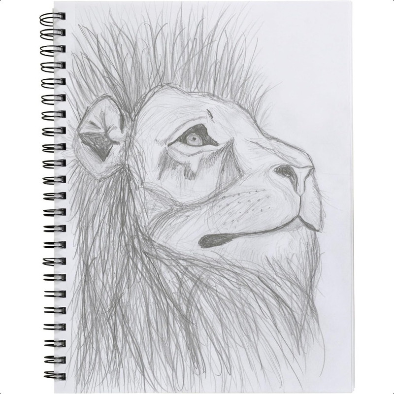 Heavyweight Sketch Book, 75 Sheets Black Poly Cover for Artists