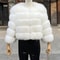 Luxury Faux Fur Coat 2024 Winter Fluffy Jacket For Women Thick Warm Raccoon Style Outwear 16