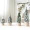 Mini Small Desktop Christmas Tree Ornament PE Flocked Small Tree Desktop Decoration Christmas Tree 1