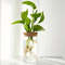 Desktop Hydroponics Glass Planter Plant Propagation Station Bud Vase Vase For Home Decoration 3