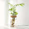 Desktop Hydroponics Glass Planter Plant Propagation Station Bud Vase Vase For Home Decoration 6